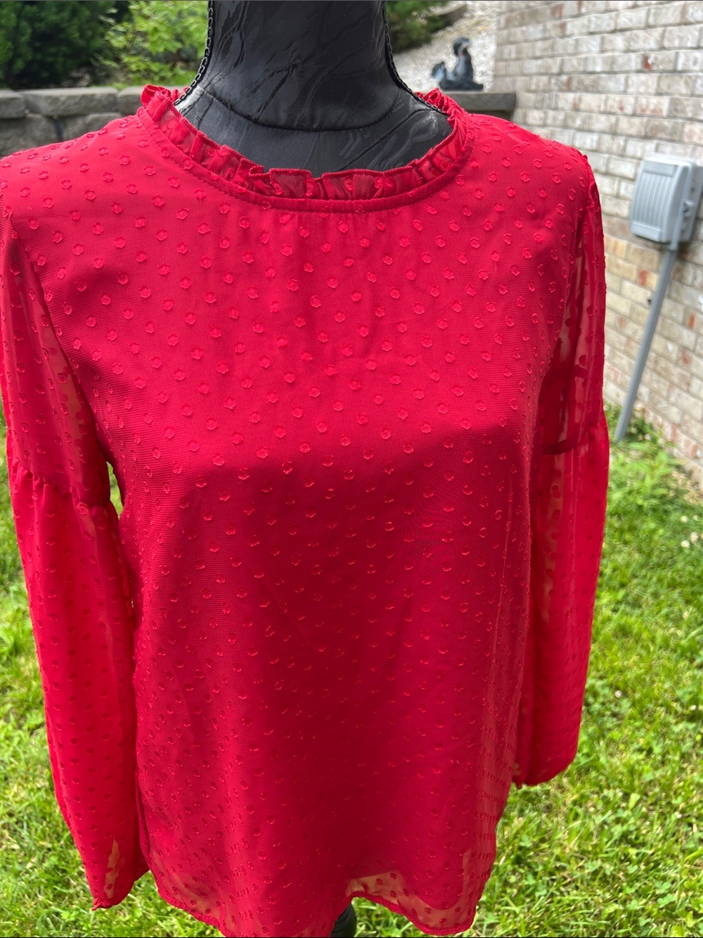 wonder nation Red Swiss Dot Ruffle Neck Blouse